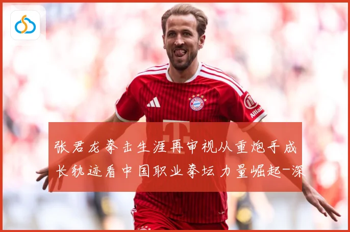 张君龙拳击生涯再审视从重炮手成长轨迹看中国职业拳坛力量崛起-深度解析